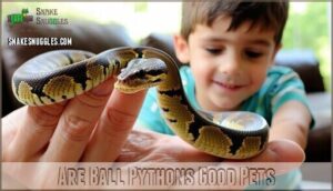 are ball pythons good pets