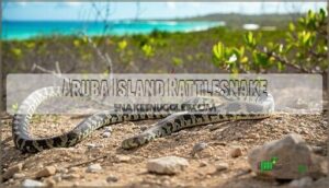 aruba island rattlesnake