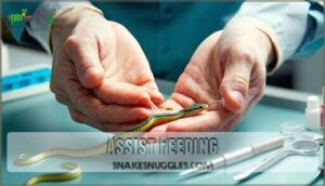 assist feeding