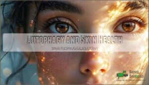 autophagy and skin health