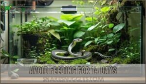 avoid feeding for 14 days