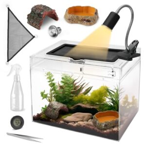 AZV Reptile Terrarium,Reptile Tank 15x8x10in B0CNVCQHS1