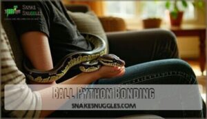 ball python bonding