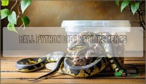 ball python diet requirements