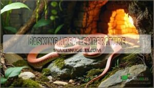basking area temperature