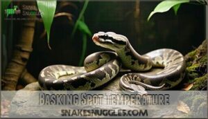 basking spot temperature