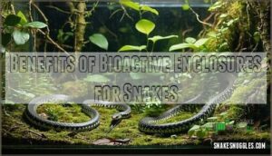 benefits of bioactive enclosures for snakes