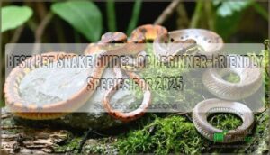 best pet snake guide