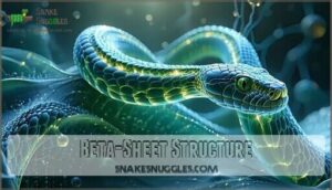 beta-sheet structure