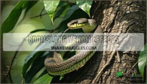 boomslang venom effects