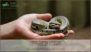 building trust building trust