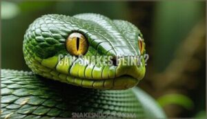 can snakes blink