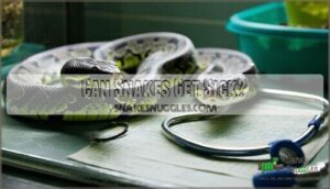 can snakes get sick