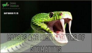 causes and risk factors of stomatitis
