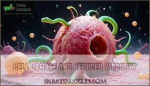 cell damage and reduced viability cell damage and reduced viability
