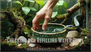 checking and refilling water bowl
