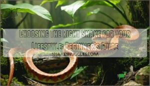 choosing the right snake for your lifestyle