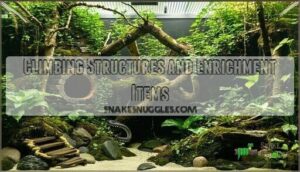climbing structures and enrichment items