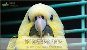 cold stress signs