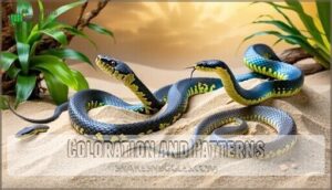 coloration and patterns