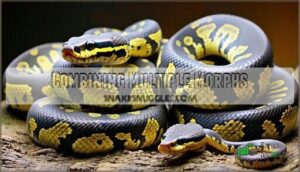 combining multiple morphs