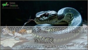 common causes of severe pain in snakes