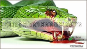 common clinical signs of stomatitis