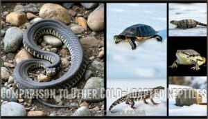 comparison to other cold-adapted reptiles