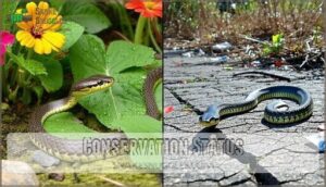 conservation status