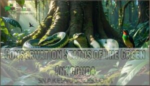 conservation status of the green anaconda