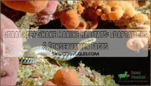 coral reef snake marine habitats