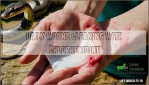 daily wound cleaning with chlorhexidine