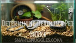 determining death in a pet snake