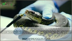 diagnosing respiratory infections in snakes
