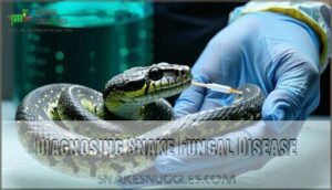 diagnosing snake fungal disease