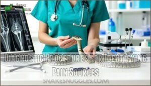 diagnostic procedures for identifying pain sources