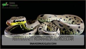 difficulty shedding in snakes