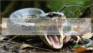 difficulty swallowing prey for snakes