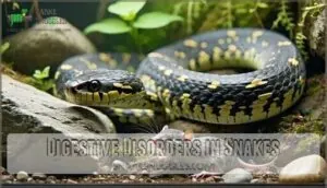 digestive disorders in snakes digestive disorders in snakes