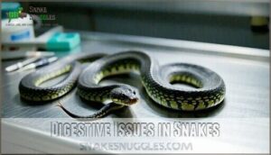 digestive issues in snakes