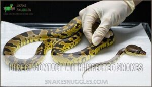 direct contact with infected snakes
