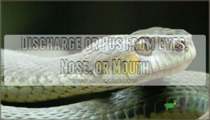 discharge or pus from eyes, nose, or mouth