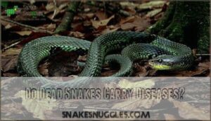 do dead snakes carry diseases