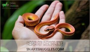 ease of handling