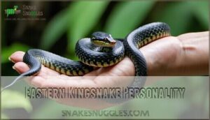 eastern kingsnake personality