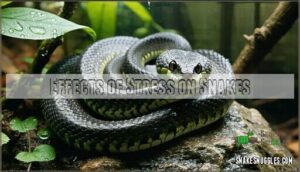 effects of stress on snakes