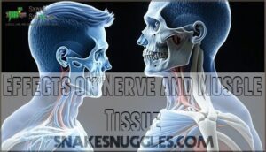 effects on nerve and muscle tissue