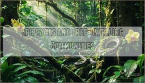 epiphytes and tree-dwelling communities