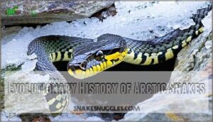 evolutionary history of arctic snakes