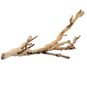 Exo Terra Forest Branch, Small B0032GG7M4